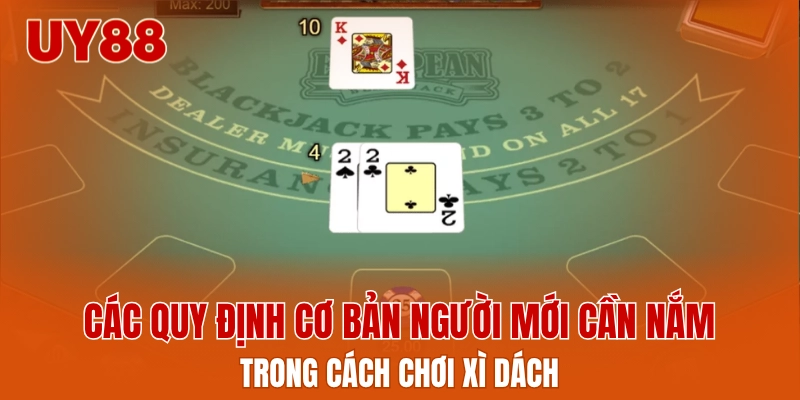 Các quy định cơ bản người mới cần nắm trong cách chơi xì dách