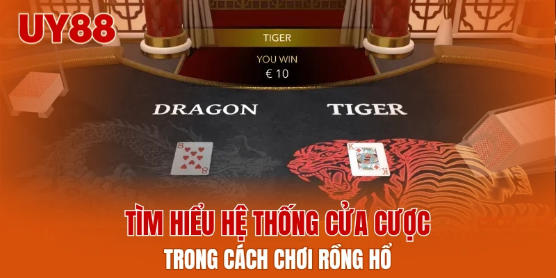 Tìm hiểu hệ thống cửa cược trong cách chơi rồng hổ